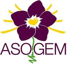 Asociación Guatemalteca de Esclerosis Múltiple (ASOGEM)